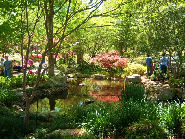 Dallas, TX: The Arboretum