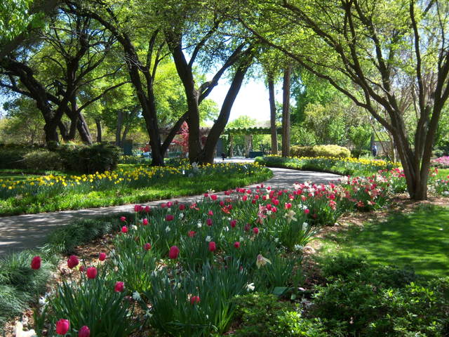 Dallas, TX: The Arboretum