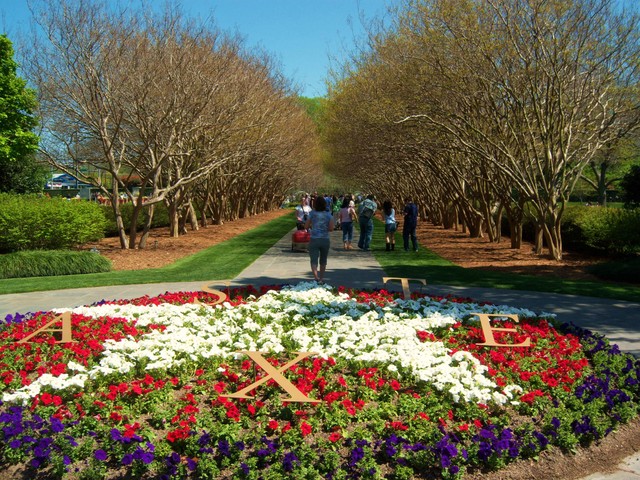 Dallas, TX: The Arboretum