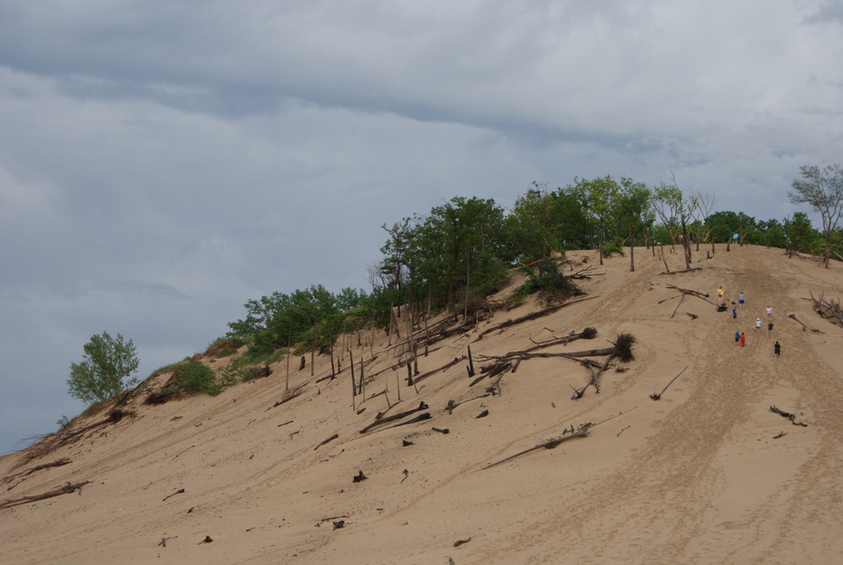 Shorewood-Tower Hills-Harbert, MI: Warren Dunes State Park