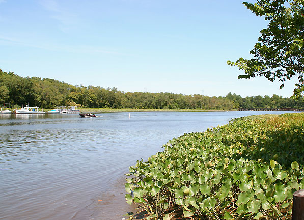 Denton, MD: Choptank River view through Denton Maryland