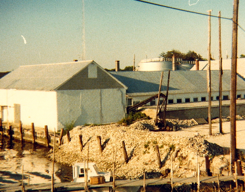 Secretary, MD: Harrington's Oyster House at the foot of the Warwick River Bridge