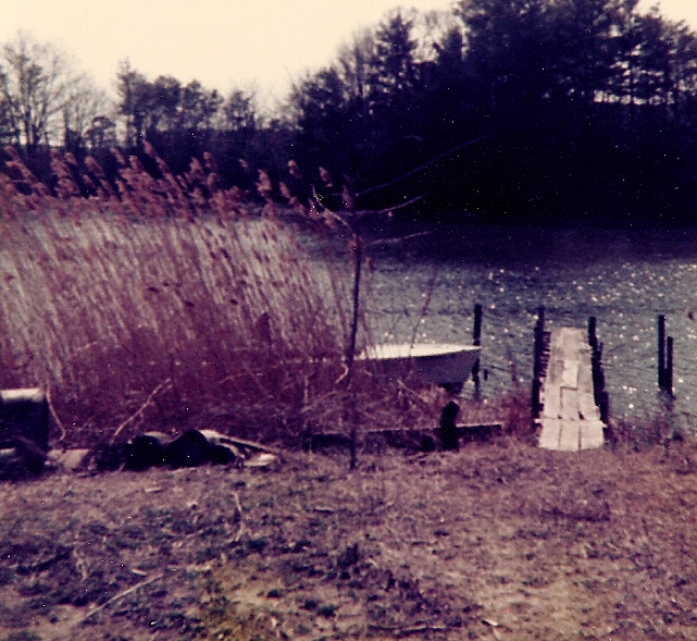 Secretary, MD Sape Willoughby's wharf at the back of his property