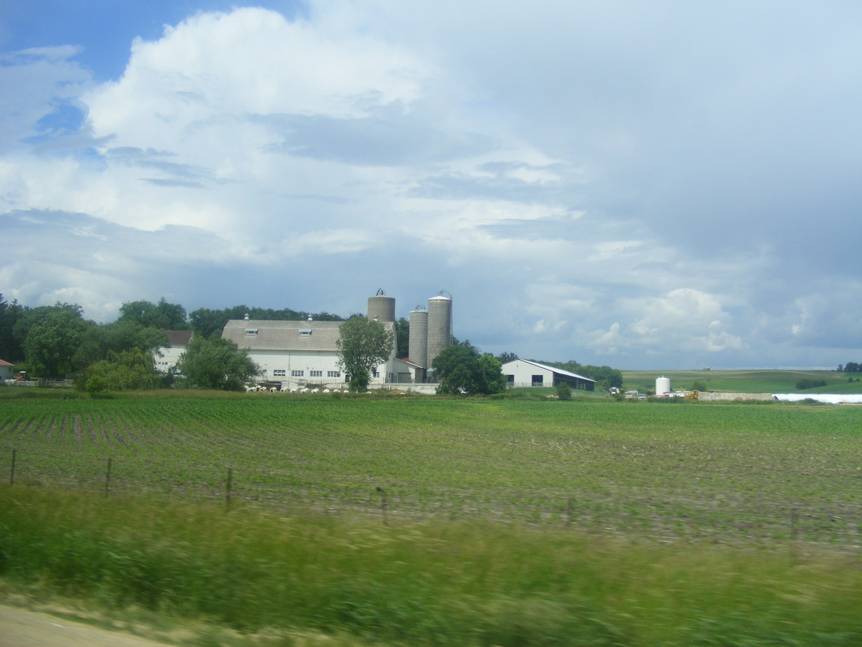 Monticello, WI: dairy farm outside Monticello