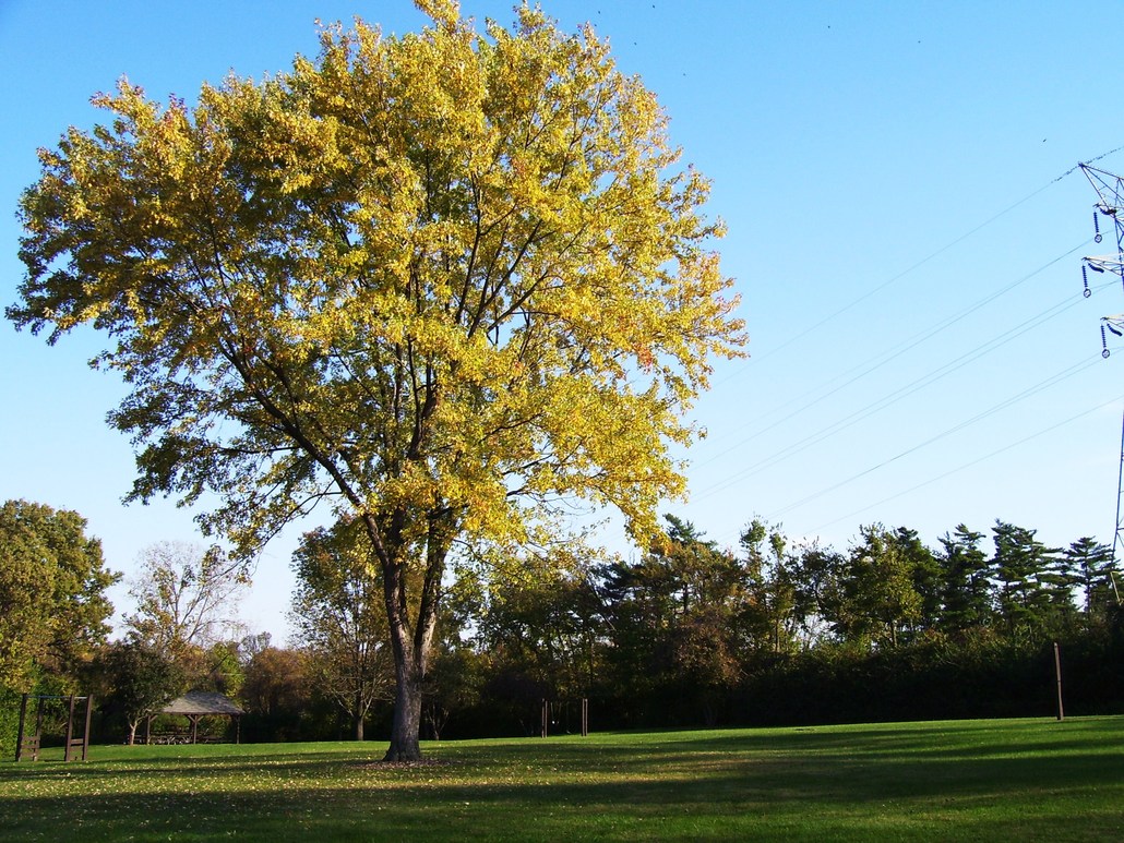 Fairfield, OH: Gilbert Farms Park