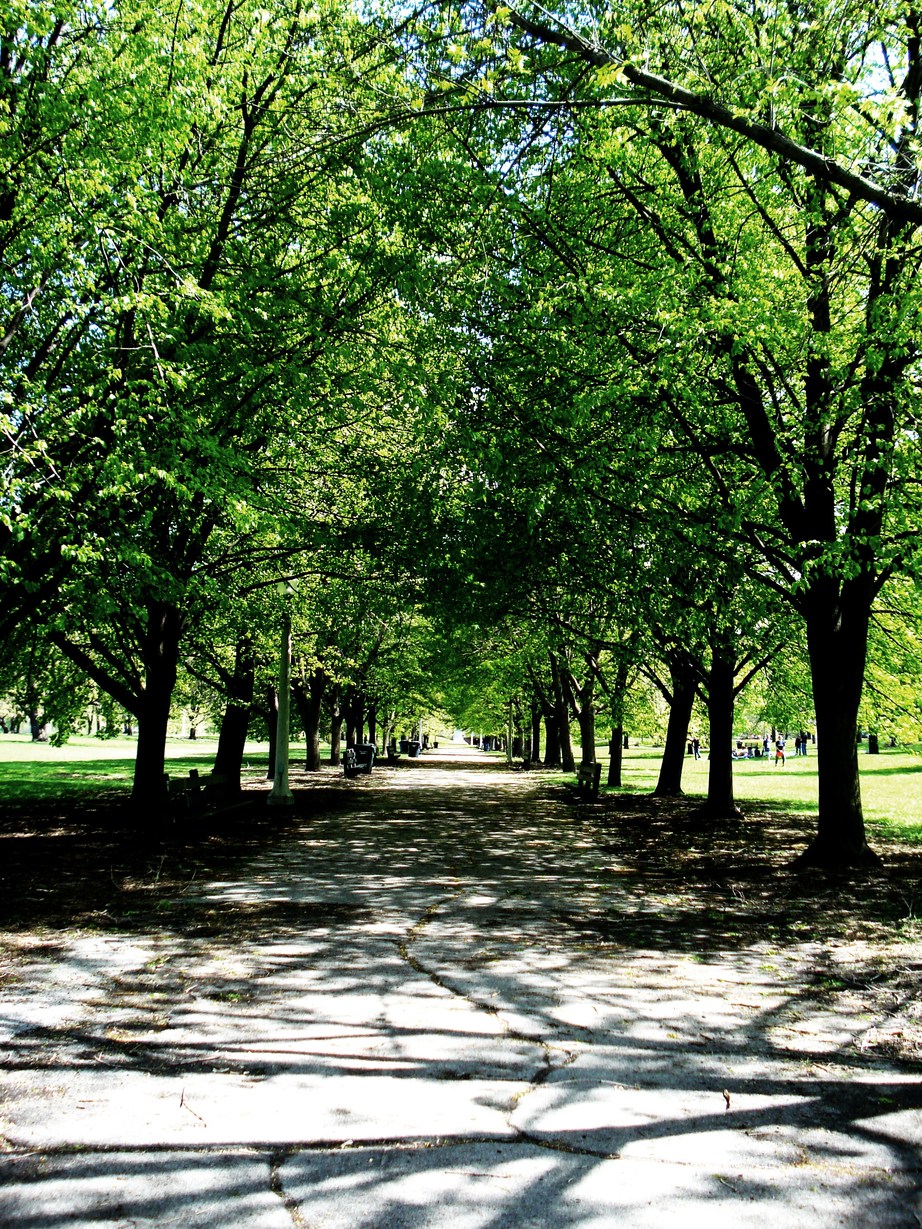Chicago, IL: Path in Lincoln Park