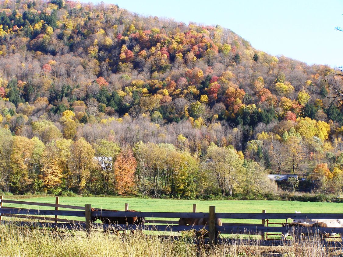 Walton, NY Scenic Drive Walton, NY photo, picture, image (New York