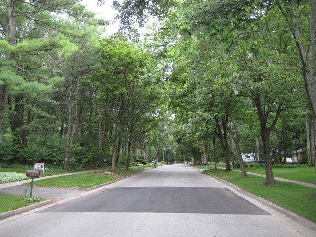 Midland, MI: Tree lined residental street