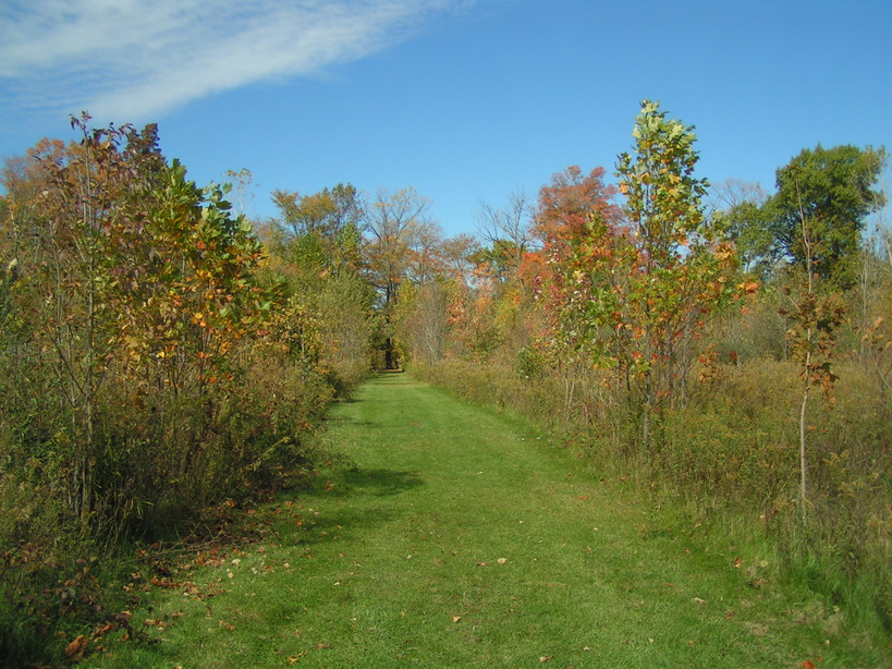 Fort Wayne, IN: Metea Park Walking Trail in Fall
