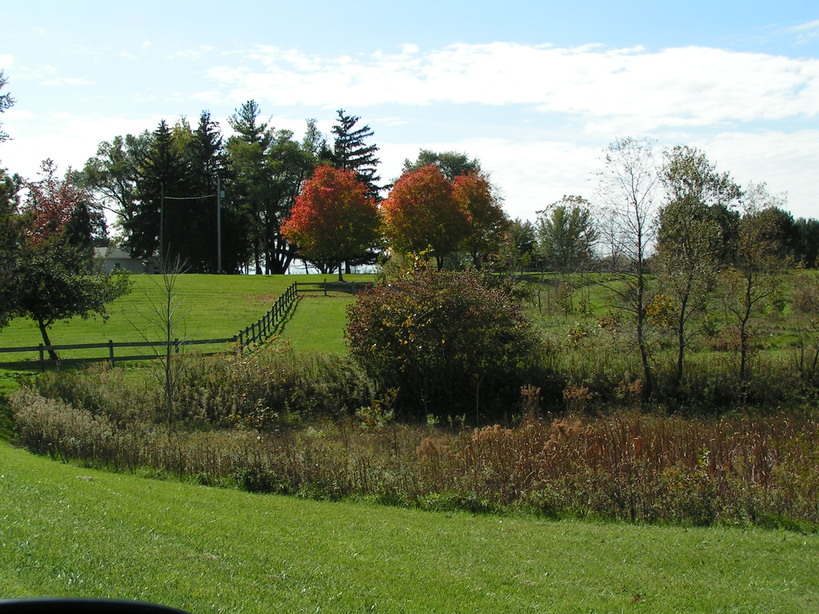 Fort Wayne, IN: Metea Park in Fall