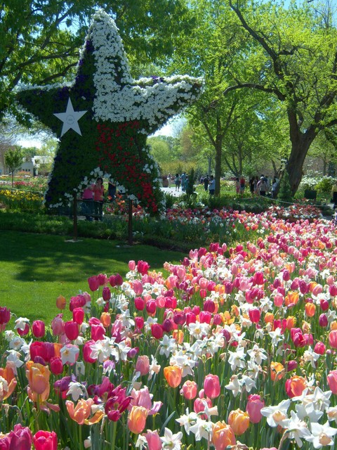 Dallas, TX: The Arboretum