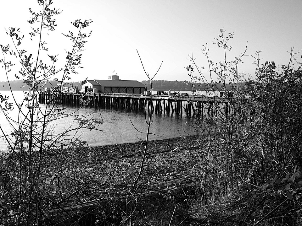 Bainbridge Island, WA: the Fishery at Fort Ward