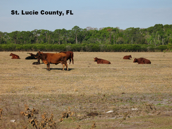 Port St. Lucie, FL: Western St. Lucie County - off of SR 70