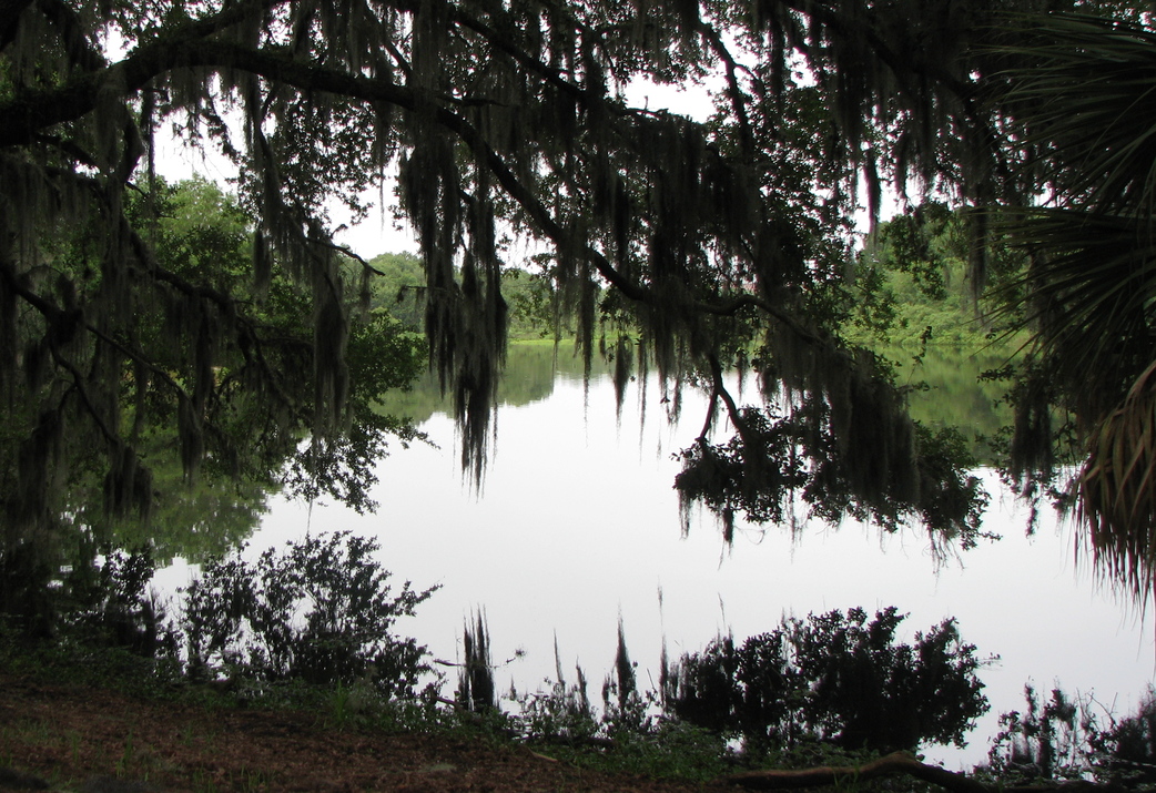 Gainesville, FL: Along Trails At Lake Alice