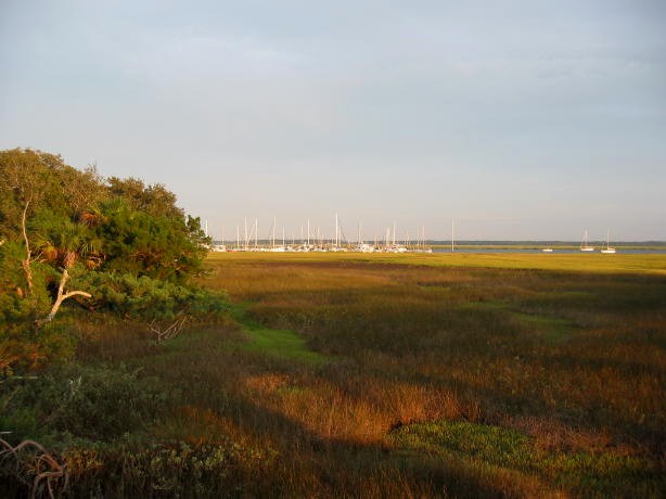 St. Marys, GA: Marsh