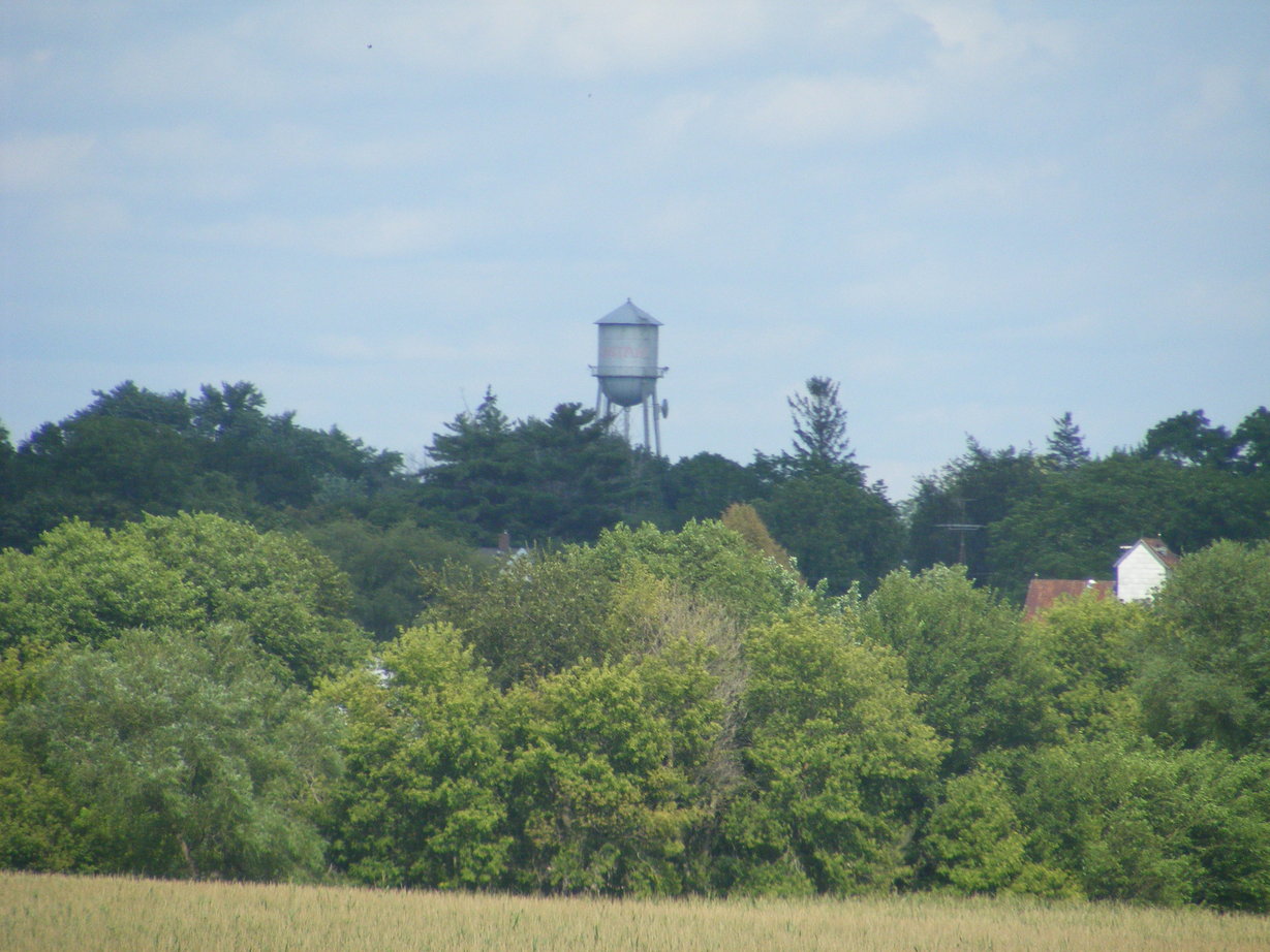 Lostant, IL: lostant water tower