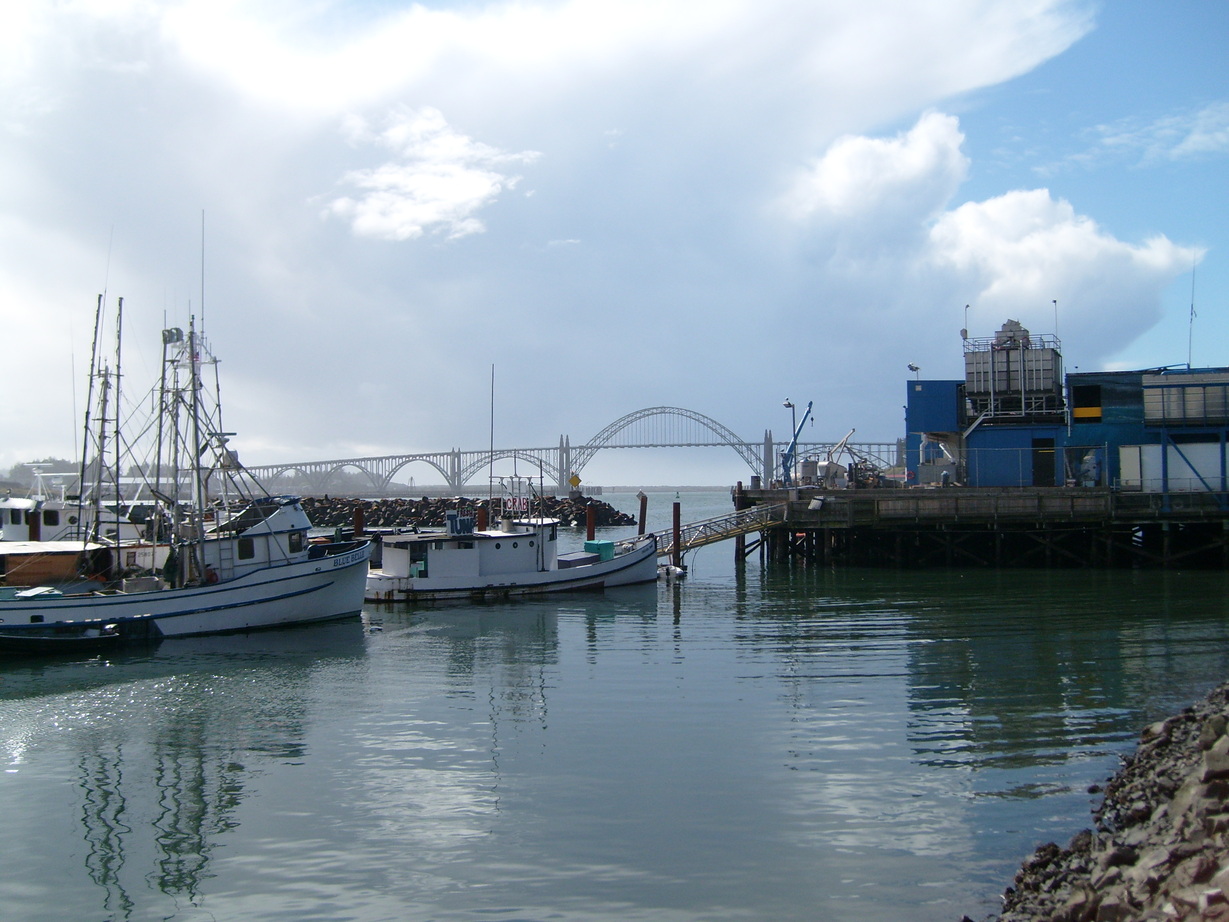Newport, OR October Newport bay front photo, picture, image (Oregon