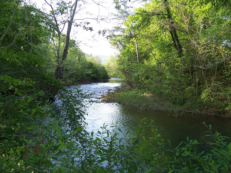 Dunlap, TN: Brush Creek, Dunlap TN