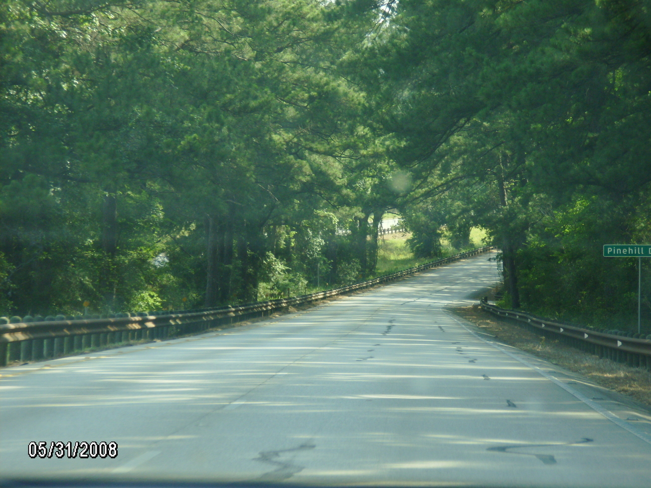 Bastrop, TX: Another beautiful shot of the long stretch of Lost Pines