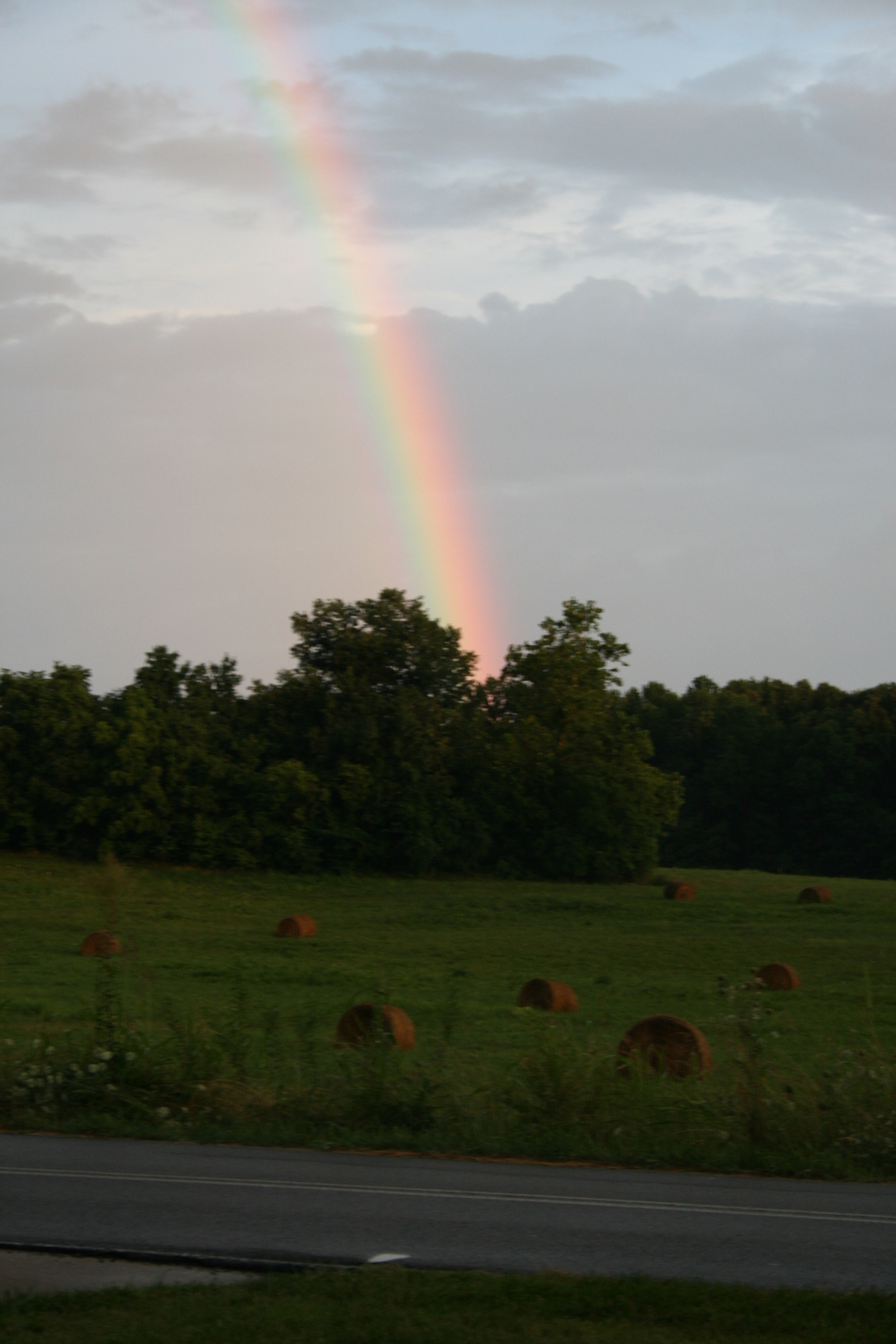 Springfield, TN: Rainbow takend after rain on July 4, 2008