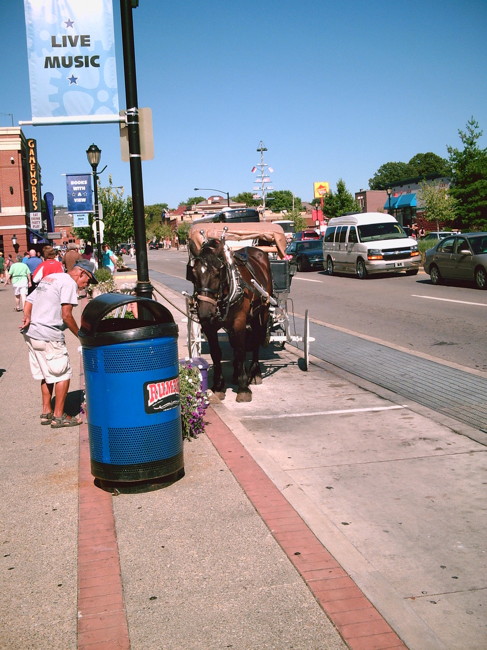 Newport, KY: A horse and buggy in downtown Newport, Kentucky