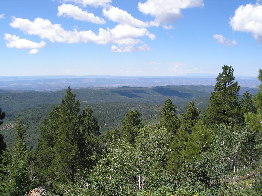 Nucla, CO: View from Uncompaghre Plateau