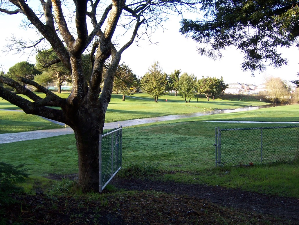 Rohnert Park, CA: Golf Course Rohnert Park