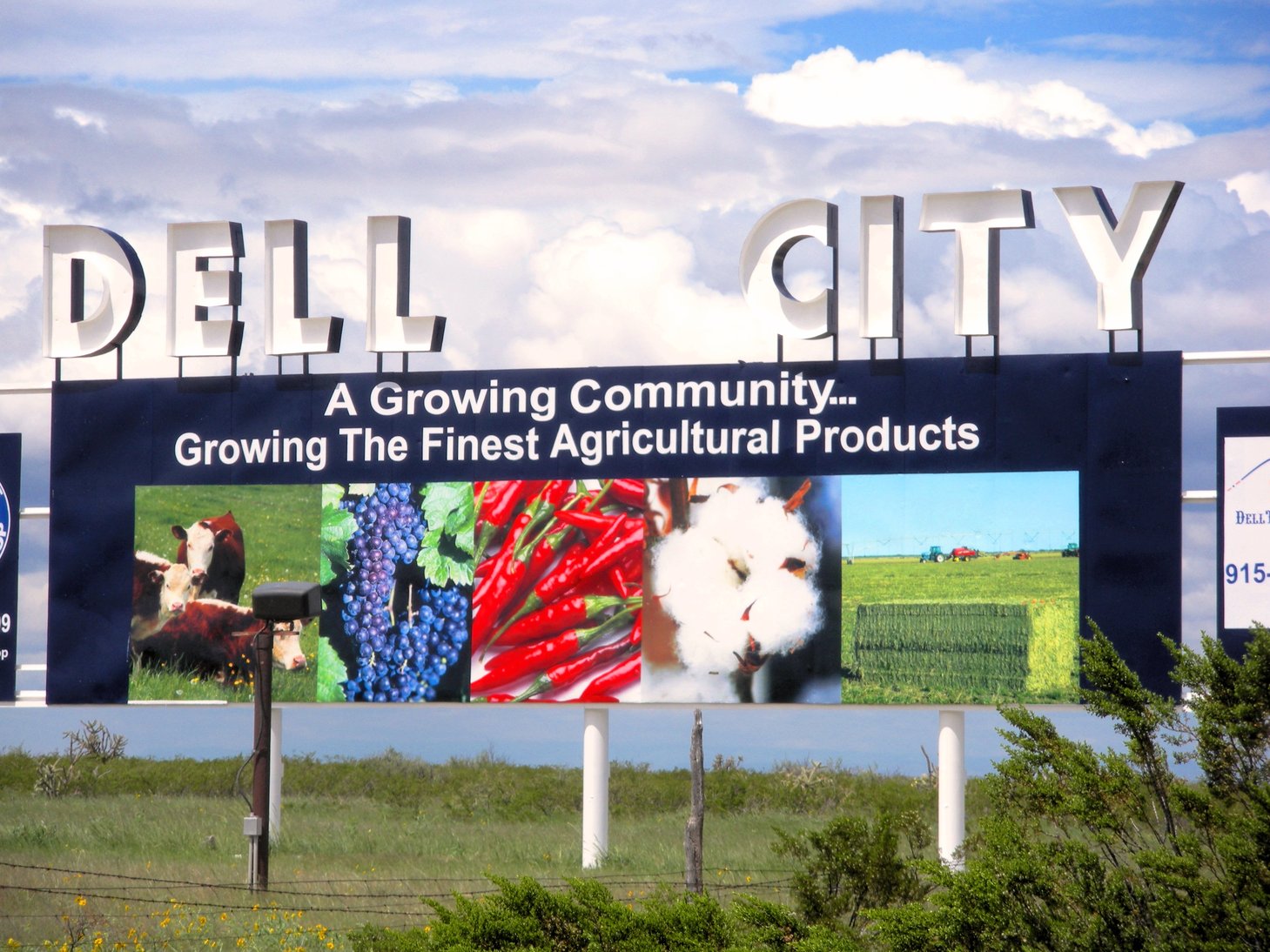 Dell City, TX: Welcoming Sign