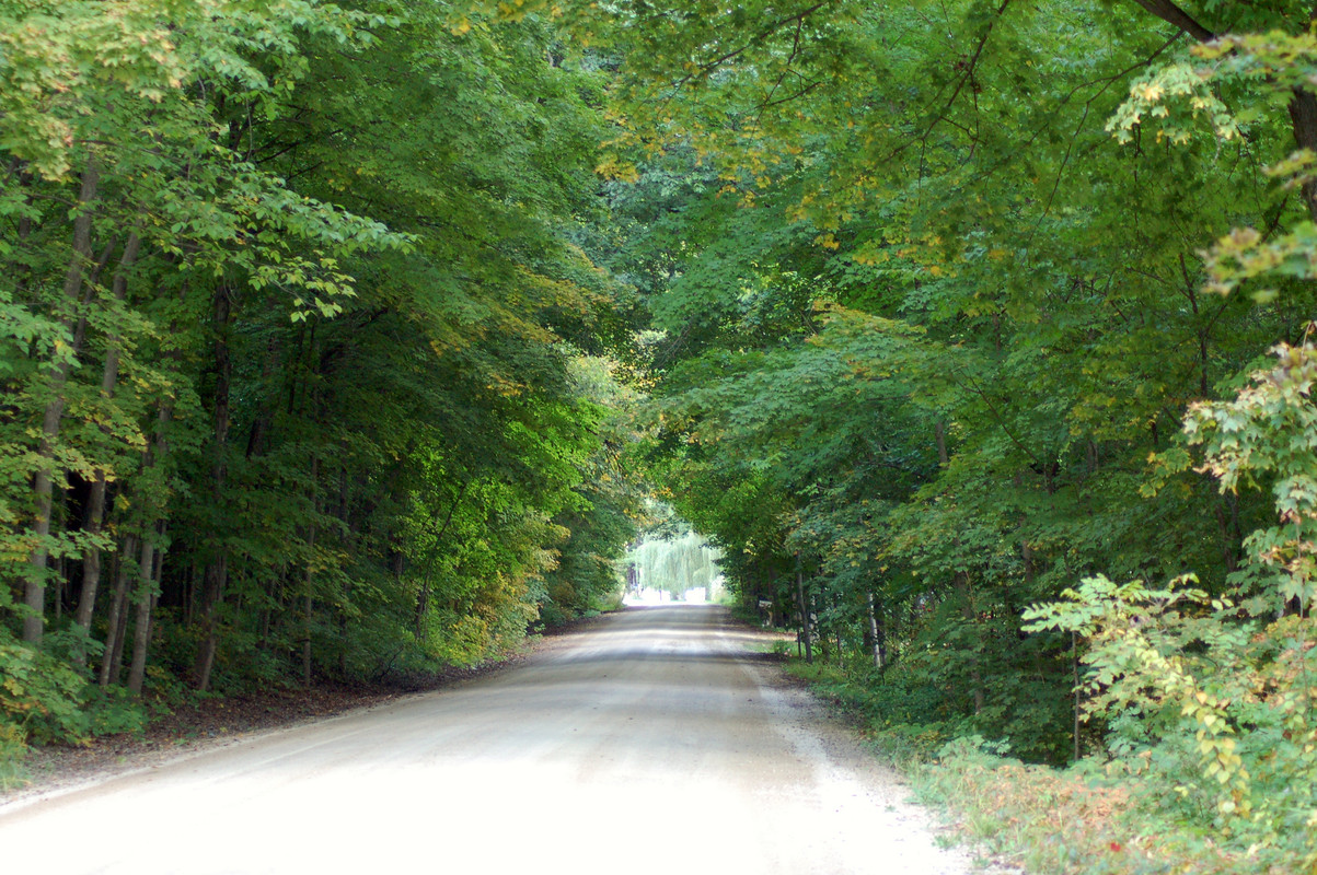 St. Francis, KS photo, picture, image (Kansas) at