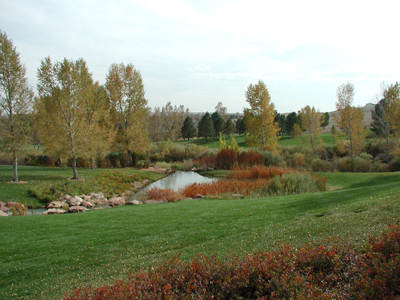 Superior, CO: Purple Park in the Fall