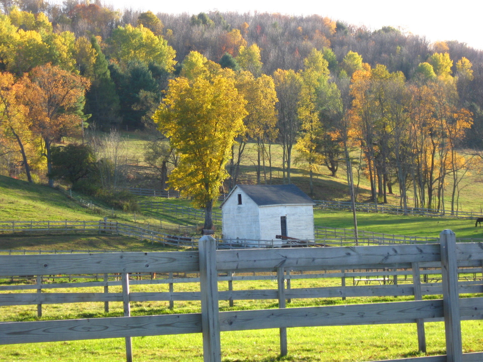 Gilbertsville, NY: Horse pastures outside of Gilbertsville