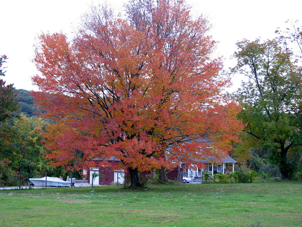Beacon Falls, CT House on West RD. photo, picture, image (Connecticut