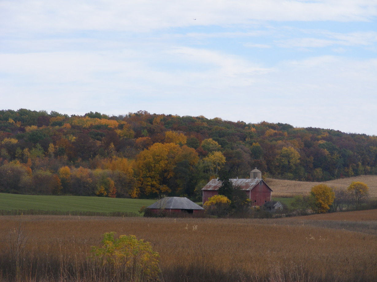 Cross Plains, WI: Farm in Cross Plains in Fall