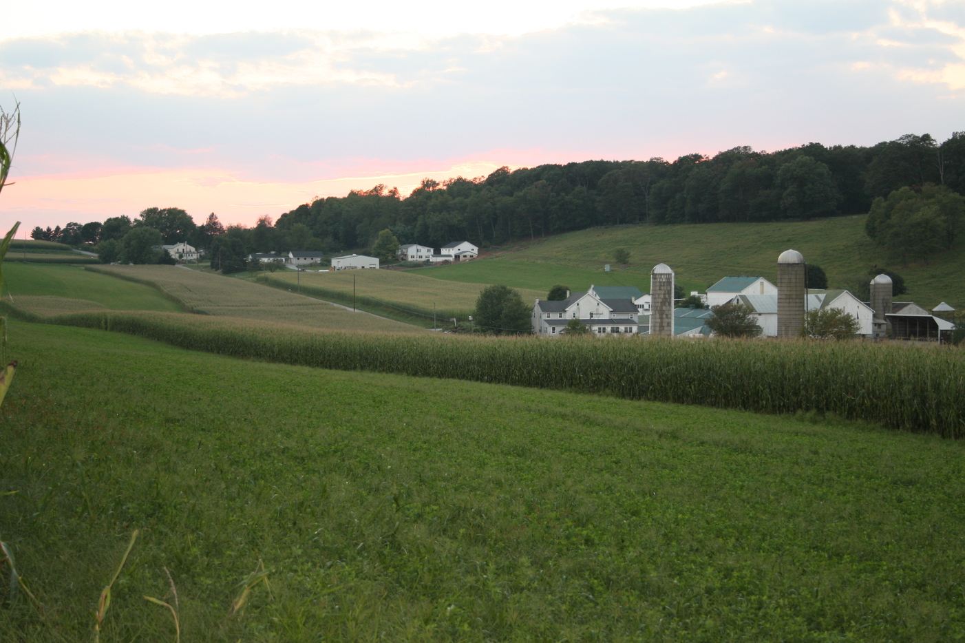 Quarryville, PA: The Farm