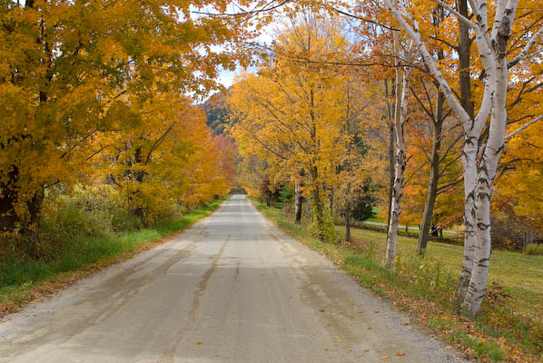 Richmond, VT: rural road Richmond Vermont