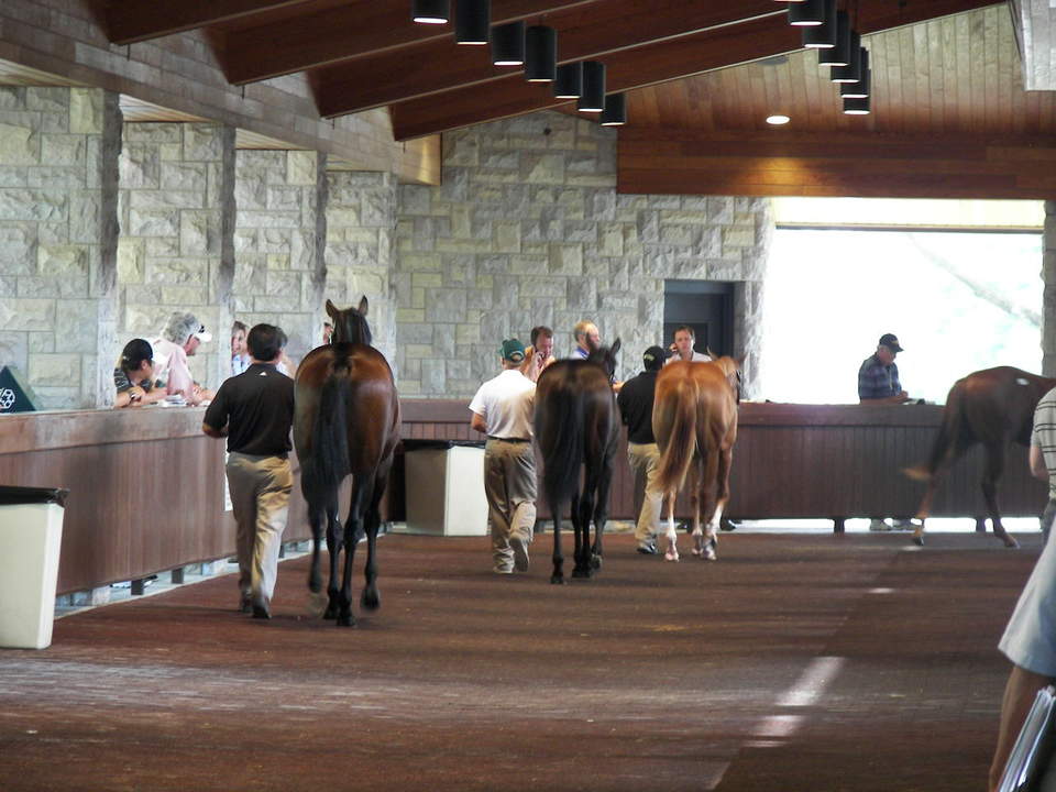 Lexington-Fayette, KY: Keeneland September Yearling auction