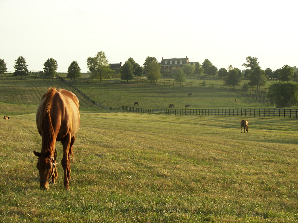 Lexington-Fayette, KY: Pisgah historic district