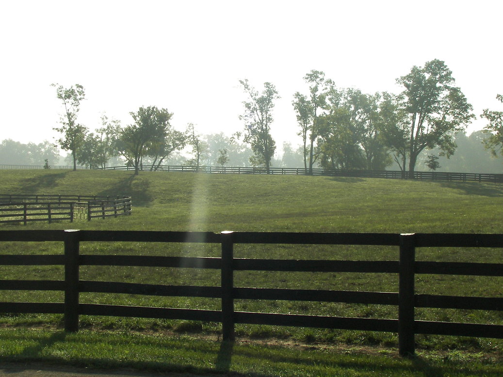 Lexington-Fayette, KY: Mill Ridge horse farm