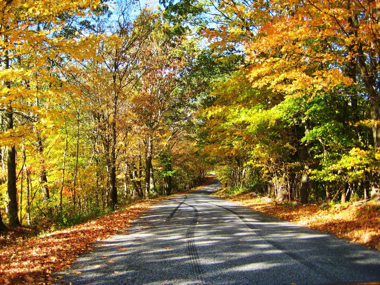 Colchester, CT: Fall in Colchester