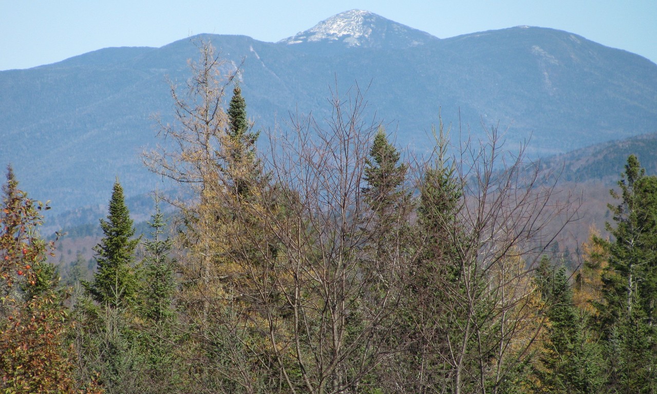 Newcomb, NY: Mt. Marcy From RT28 In Newcomb