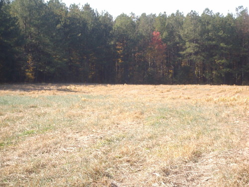 Robbins, NC: very vast and open land markes