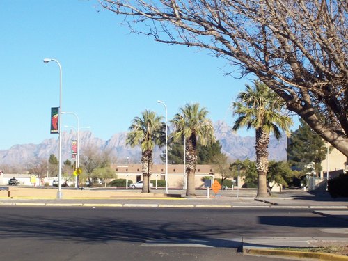 Las Cruces, NM : Las Cruces photo, picture, image (New Mexico) at city ...