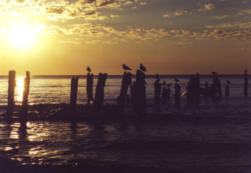 Port Sanilac, MI: Morning Gathering