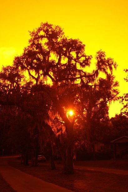 Interlachen, FL: Sunset on Beacon Street