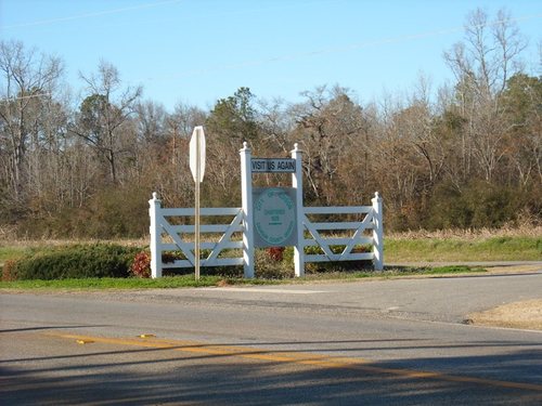 Edison, GA: Edison Town Sign