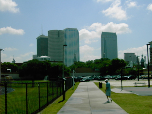 Tampa, FL: Tampa skyline from UT
