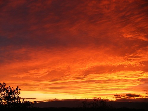 Red Bluff, CA: Winter Sunset out 36W