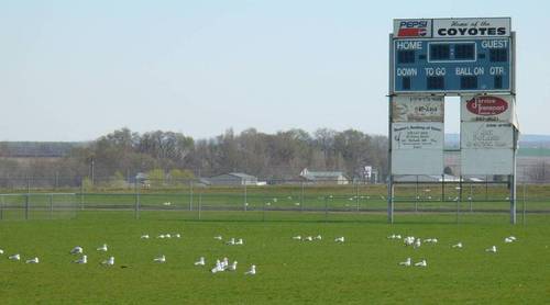 Burbank, WA: Burbank Coyotes sports field 2007