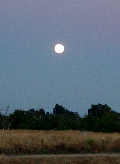 Oakley, CA: Full moon over Marsh Creek