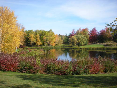 Hillsboro, OR: Autumn Colors near Noble Woods